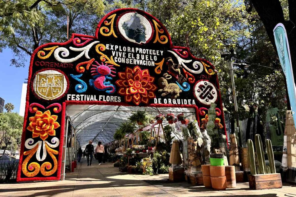 Festival de las flores de orquídeas de la CDMX.