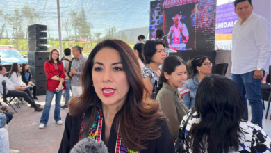 páginas falsas hoteles Hidalgo