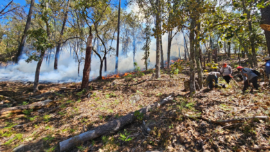 Nicolás Flores incendio forestal
