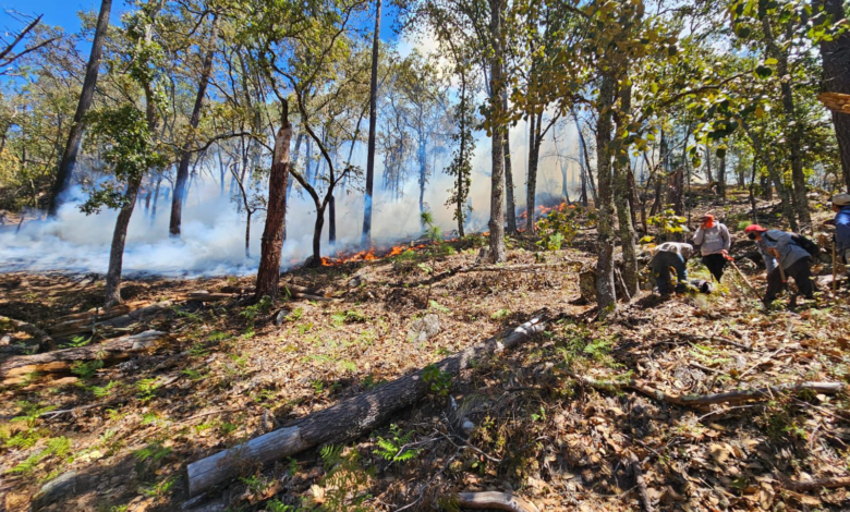 Nicolás Flores incendio forestal