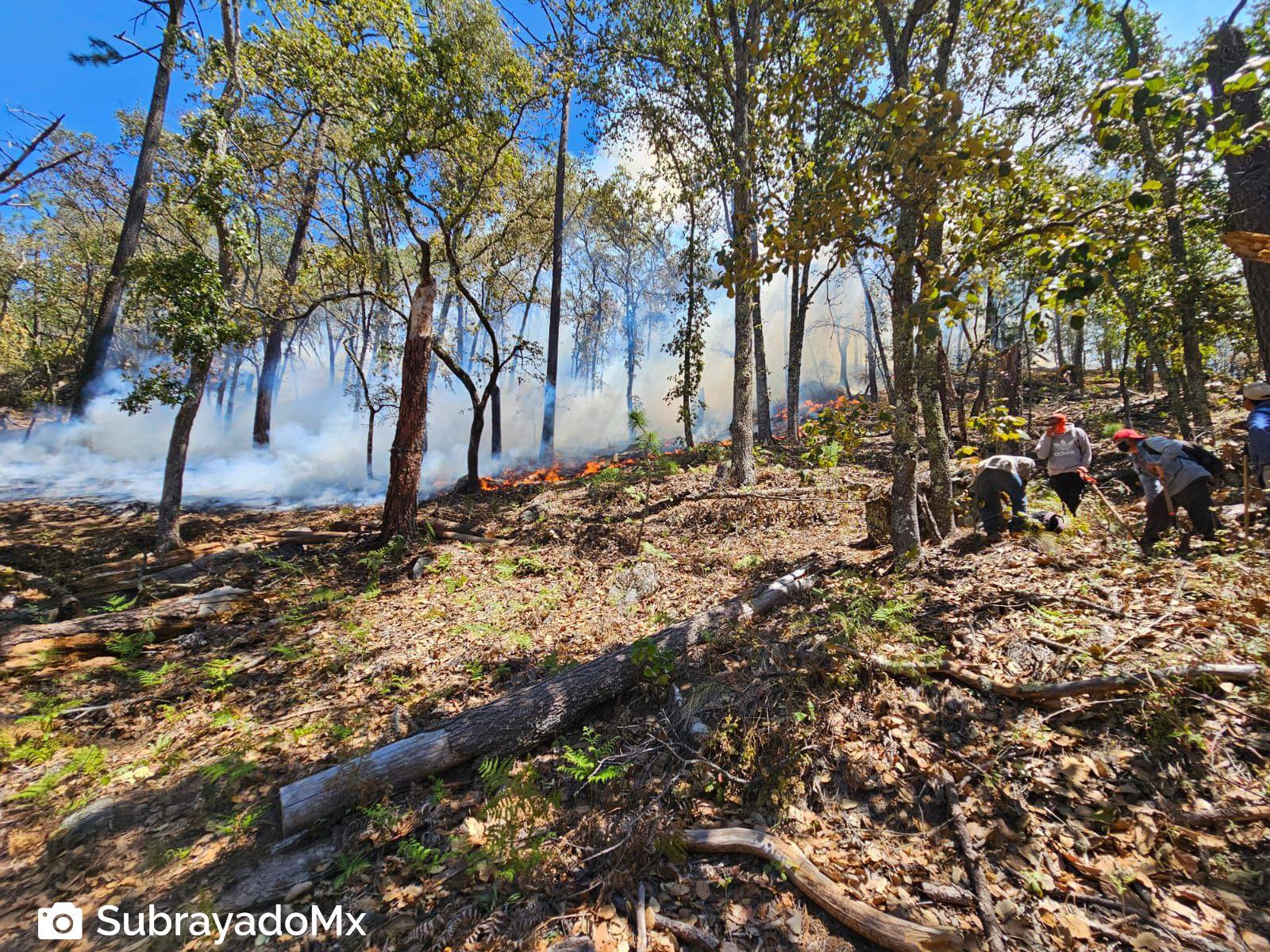 Nicolás Flores incendio forestal