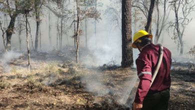 Incendios forestales Hidalgo