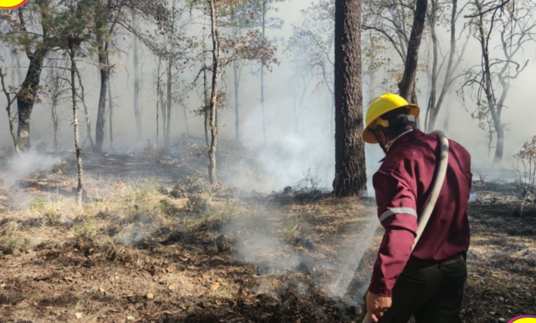 Incendios forestales Hidalgo