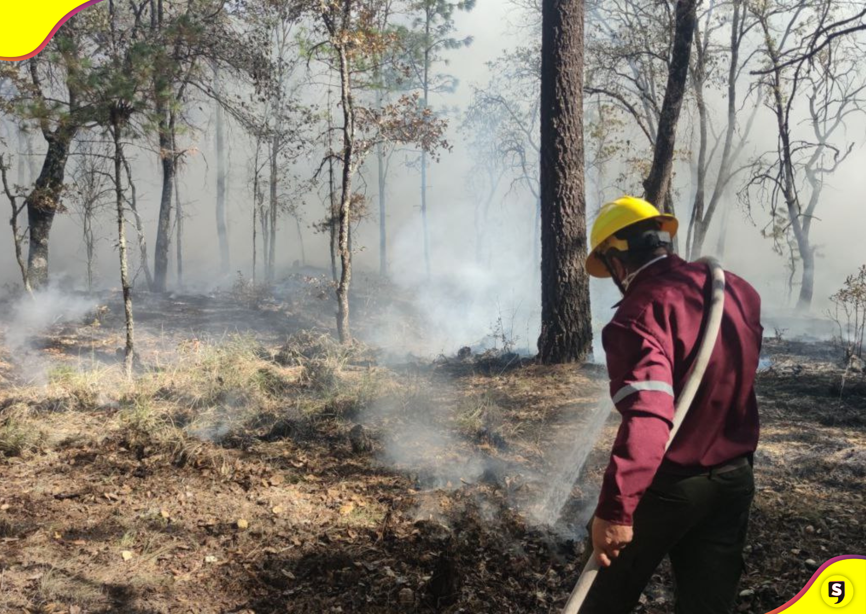 Incendios forestales Hidalgo