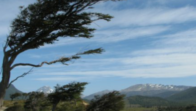 rachas viento Hidalgo