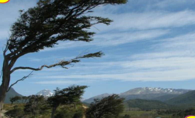 rachas viento Hidalgo