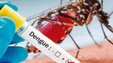 Hidalgo casos dengue