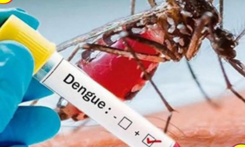 Hidalgo casos dengue