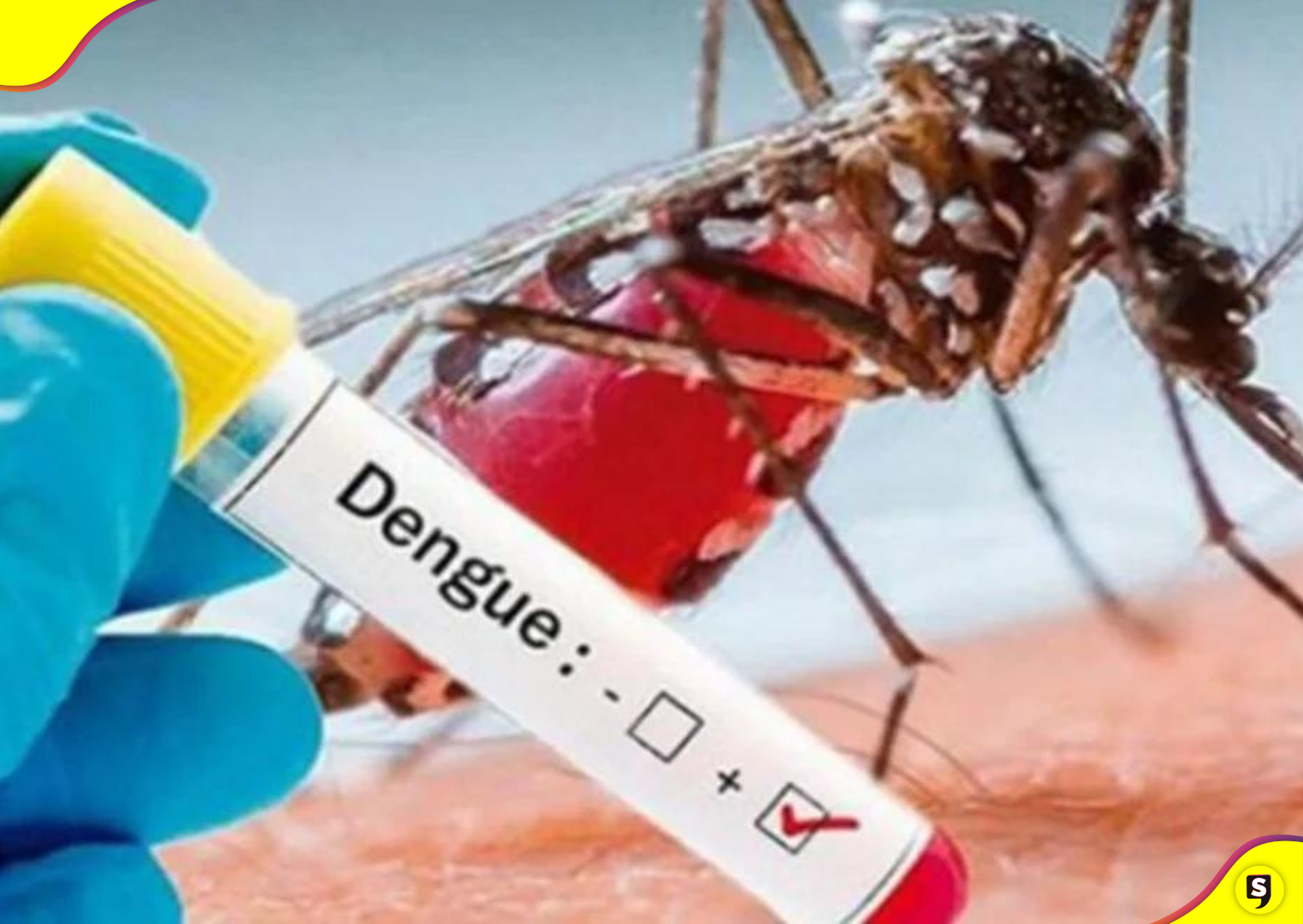 Hidalgo casos dengue