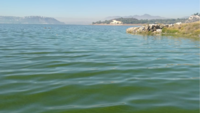 Sequía Hidalgo agua