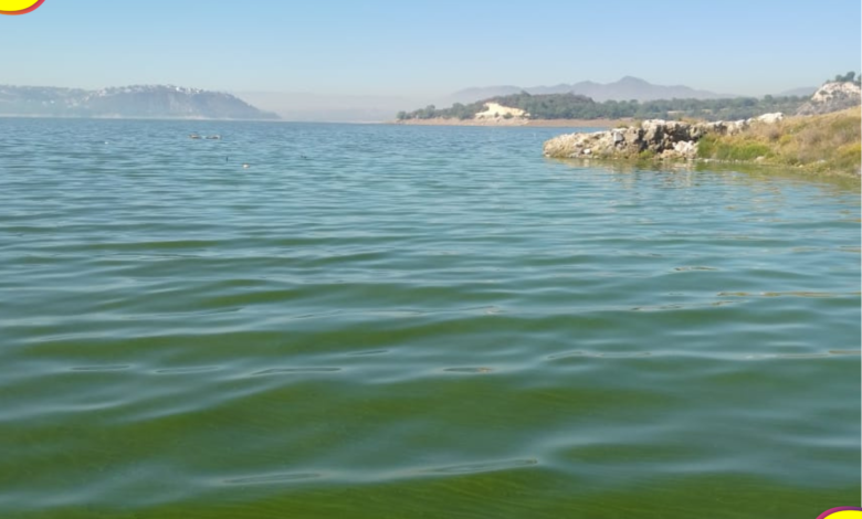 Sequía Hidalgo agua