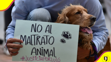 ¡Por ellos! Las exigencias de la marcha por los animales en la CDMX.