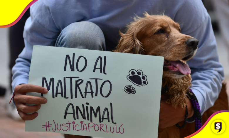 ¡Por ellos! Las exigencias de la marcha por los animales en la CDMX.