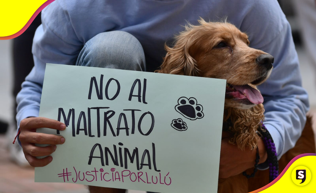 ¡Por ellos! Las exigencias de la marcha por los animales en la CDMX.
