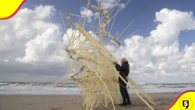 ¡Woow! Conoce a las bestias de la playa, esculturas que se mueven solas.