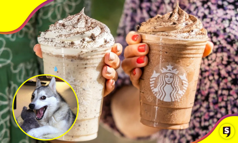 ¡Así sí! Corre por la promo de frappuccino en Starbucks.