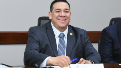 diputado local