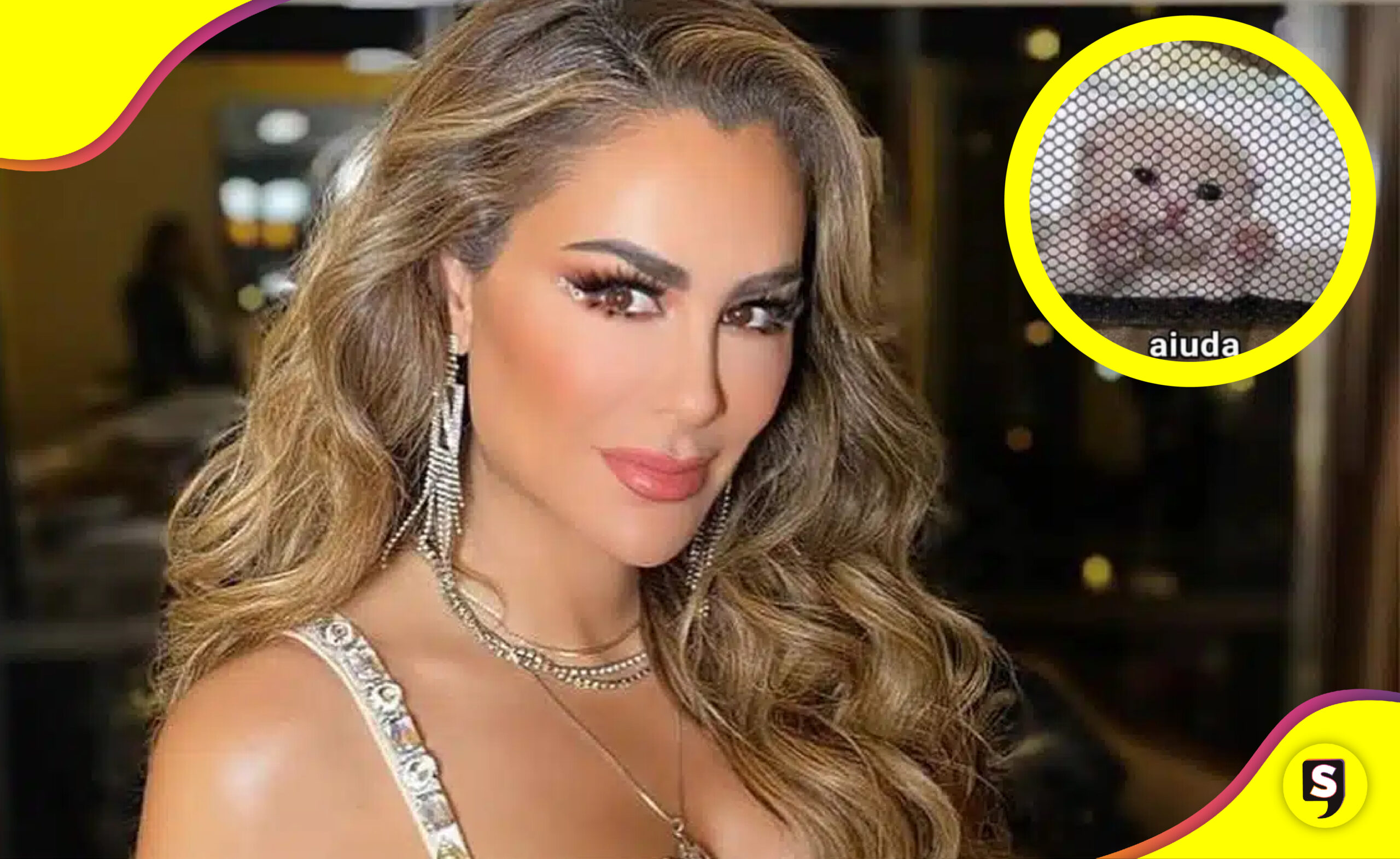 Ninel Conde por lavado de dinero