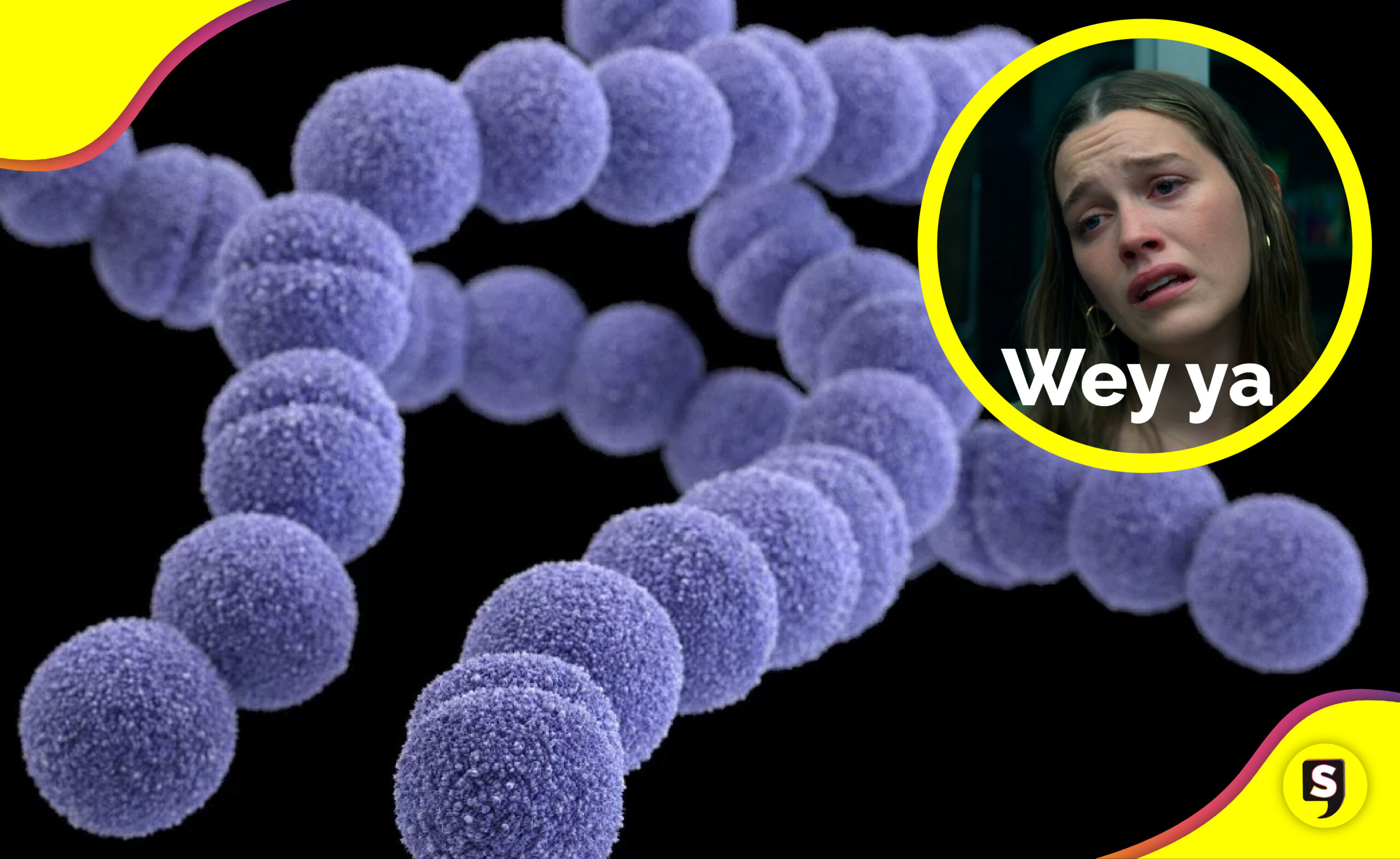 bacteria carnívora en Japón