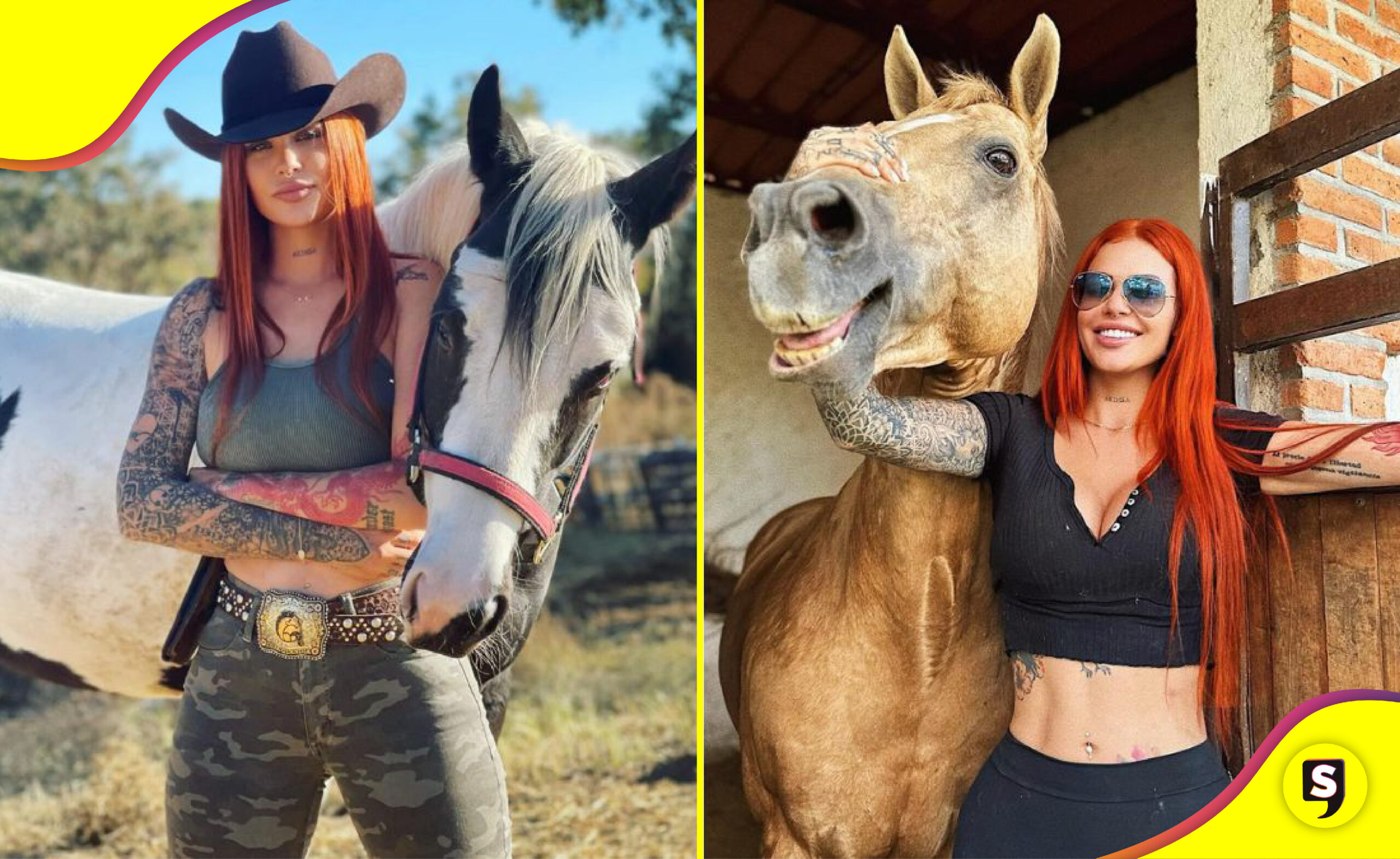 animales Elena Larrea tristeza