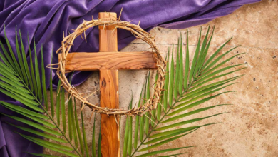 Tepejí del Río Semana Santa 2024
