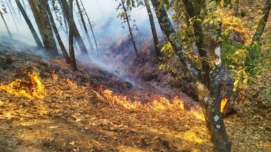 Incendio Parque Nacional El Chico
