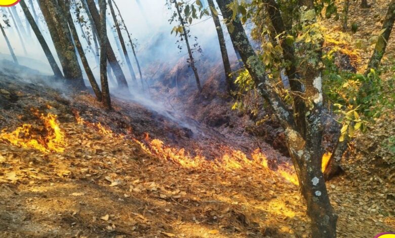 Incendio Parque Nacional El Chico