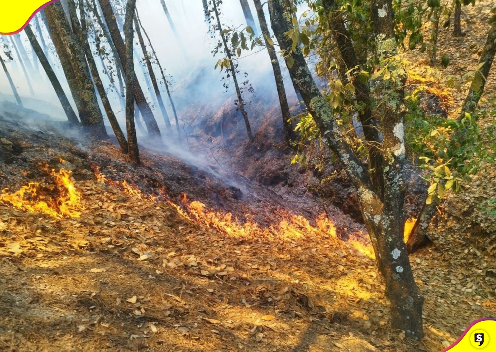Incendio Parque Nacional El Chico