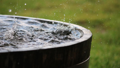 gobernador Hidalgo agua