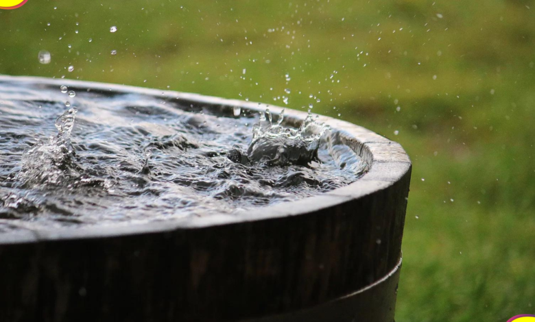 gobernador Hidalgo agua
