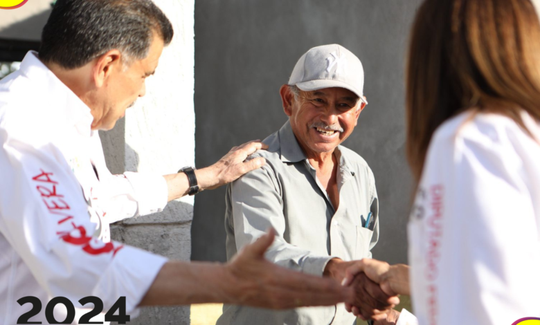 Olvera casas de gestión