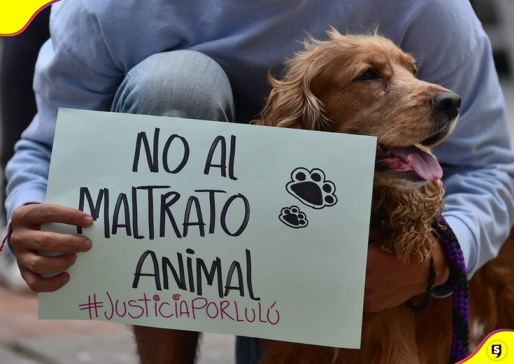 Congreso reparación animal