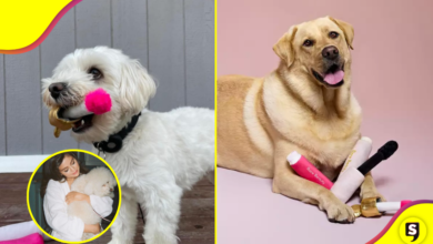 ¡Pet friendly! Sel ama a las mascotas y así lo demuestra.