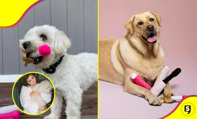 ¡Pet friendly! Sel ama a las mascotas y así lo demuestra.