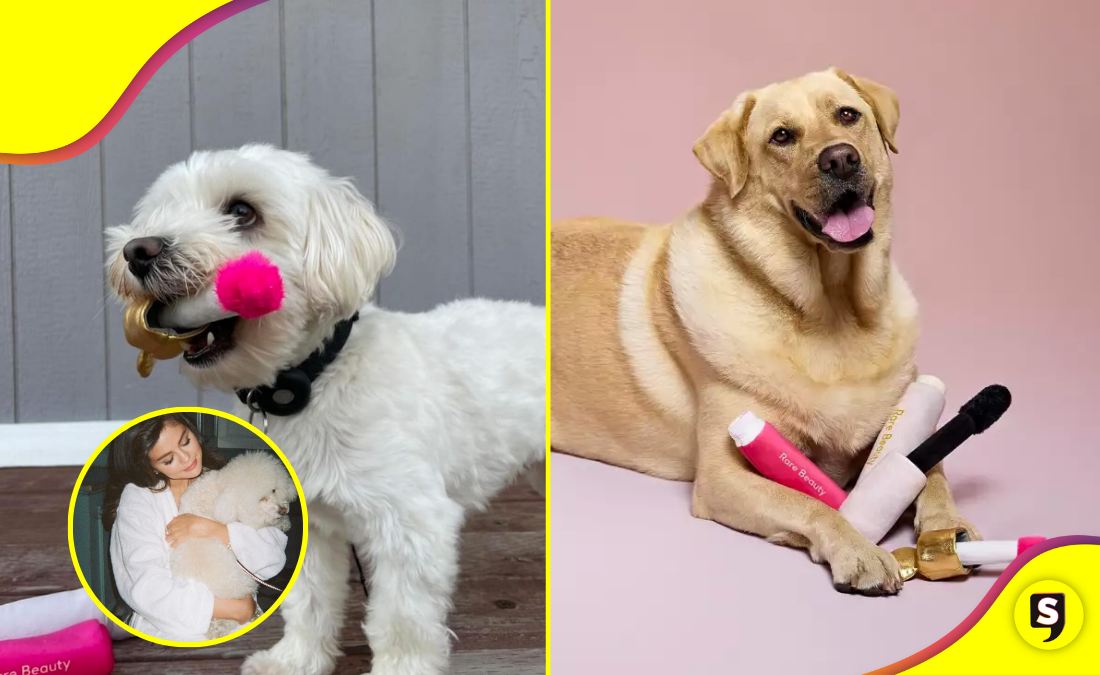 ¡Pet friendly! Sel ama a las mascotas y así lo demuestra.