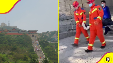 Vas a terminar como Bambi, ¿tú te subirías al monte Taishan?