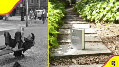 BookCrossing: Encuentra un buen libro en el rincón menos esperado de la ciudad.