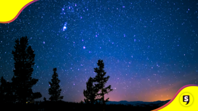 Pueblando entre cielos despejados: Los lugares más estrellados de México.