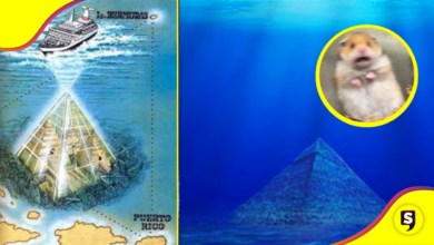 ¿Qué tan cierto es? Estas extrañas pirámides fueron vistas en el Triángulo de las Bermudas .