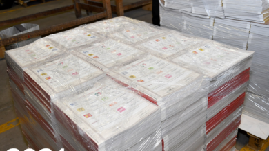 IEEH boletas elección 2024
