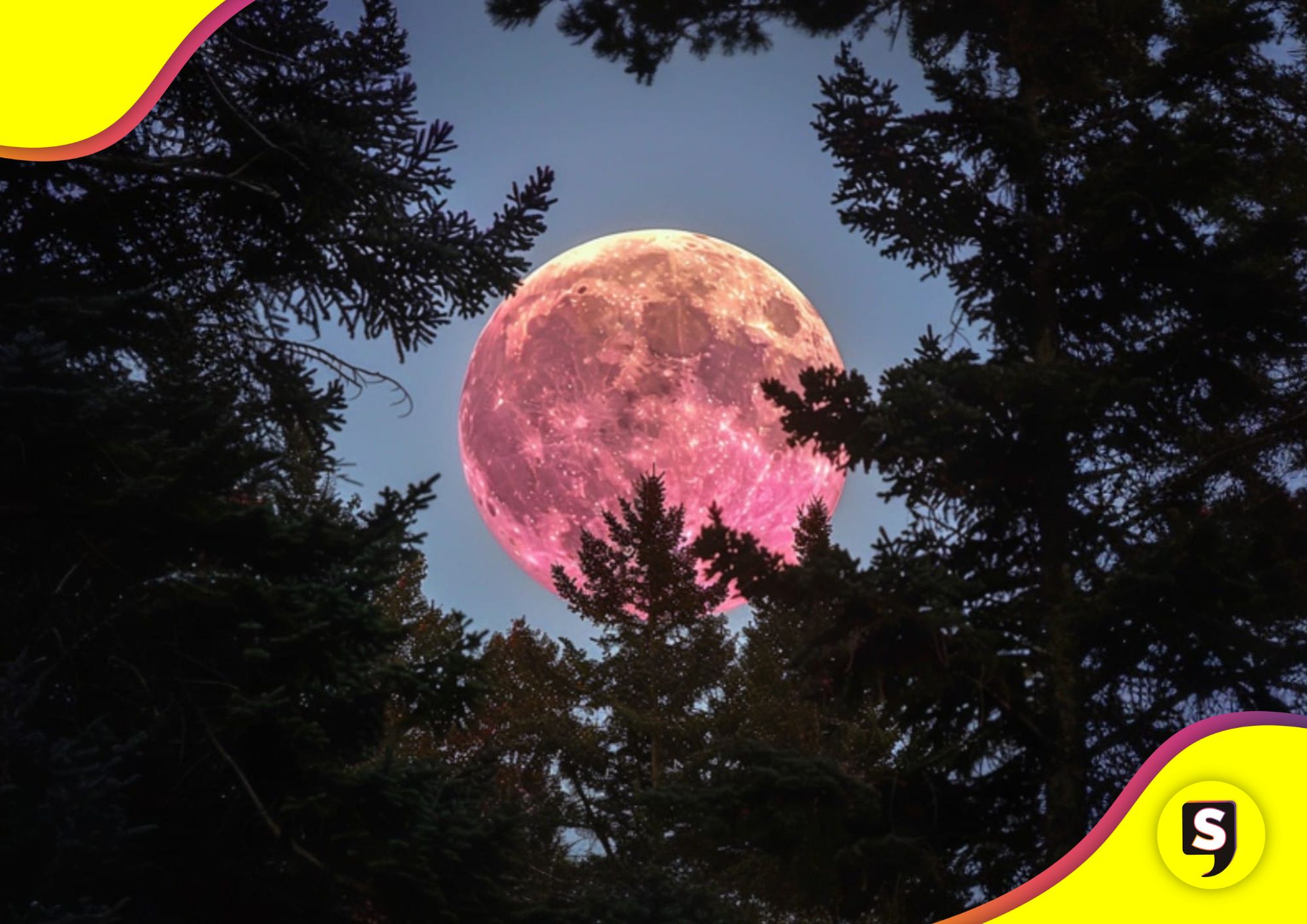 Luna llena rosa