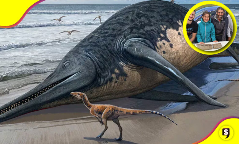 Niña fósil de reptil marino