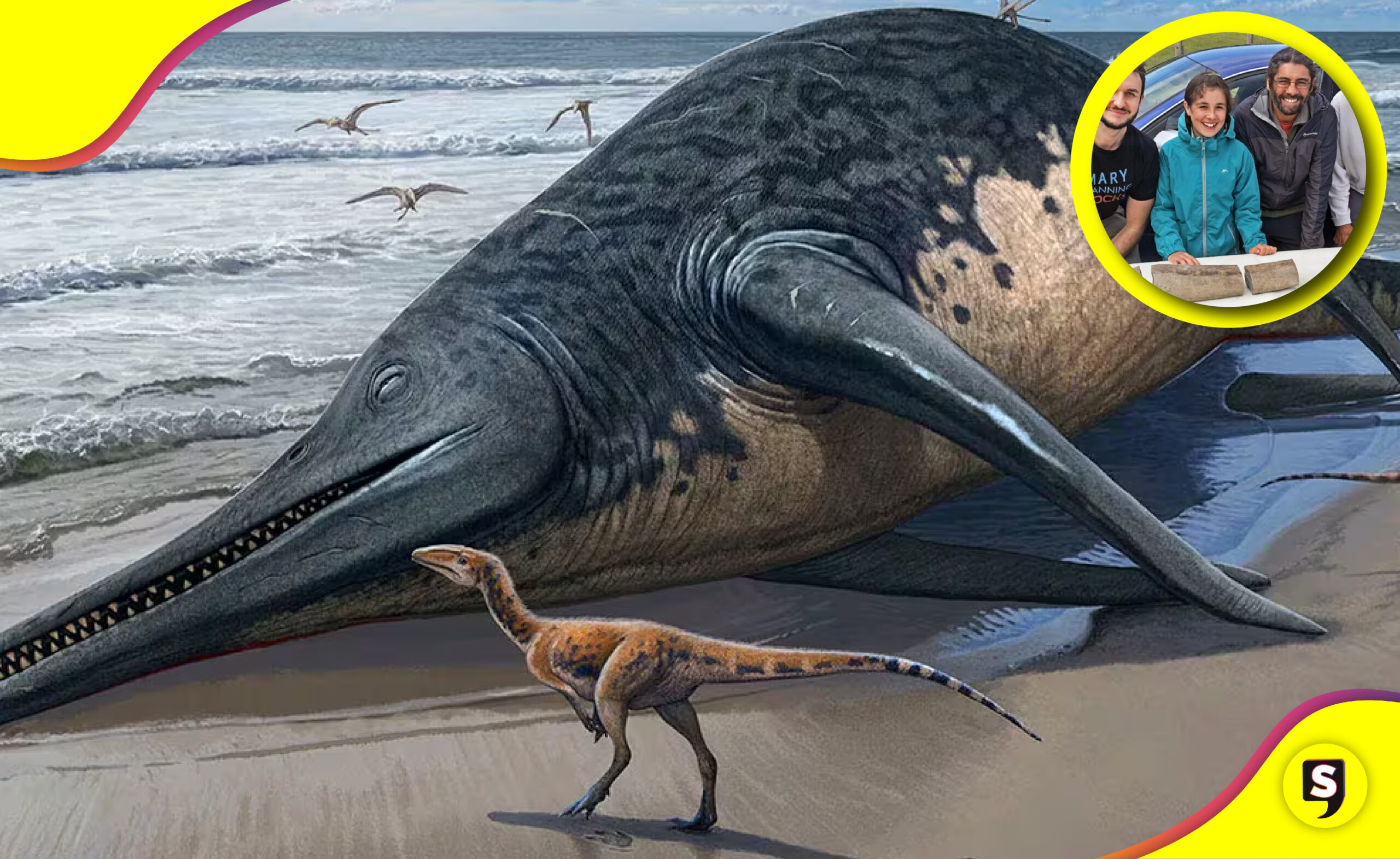 Niña fósil de reptil marino