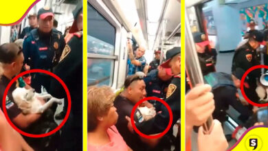 Policías Metro señor perrito herido