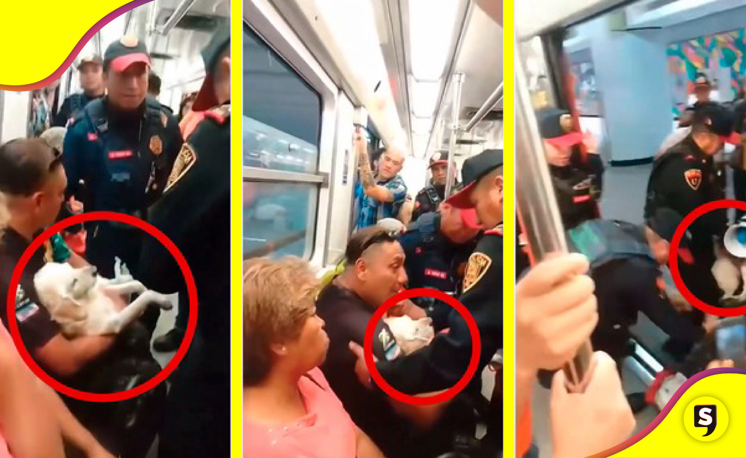 Policías Metro señor perrito herido