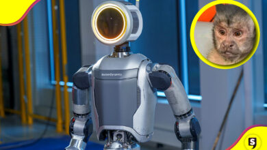 Boston Dynamics robot humanoide