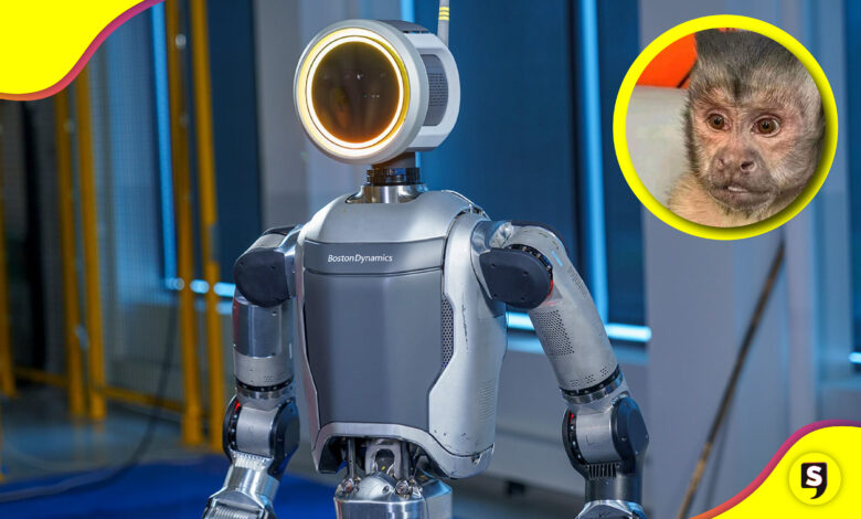 Boston Dynamics robot humanoide