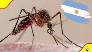 Argentina crisis de dengue