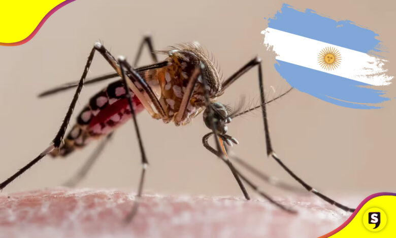 Argentina crisis de dengue