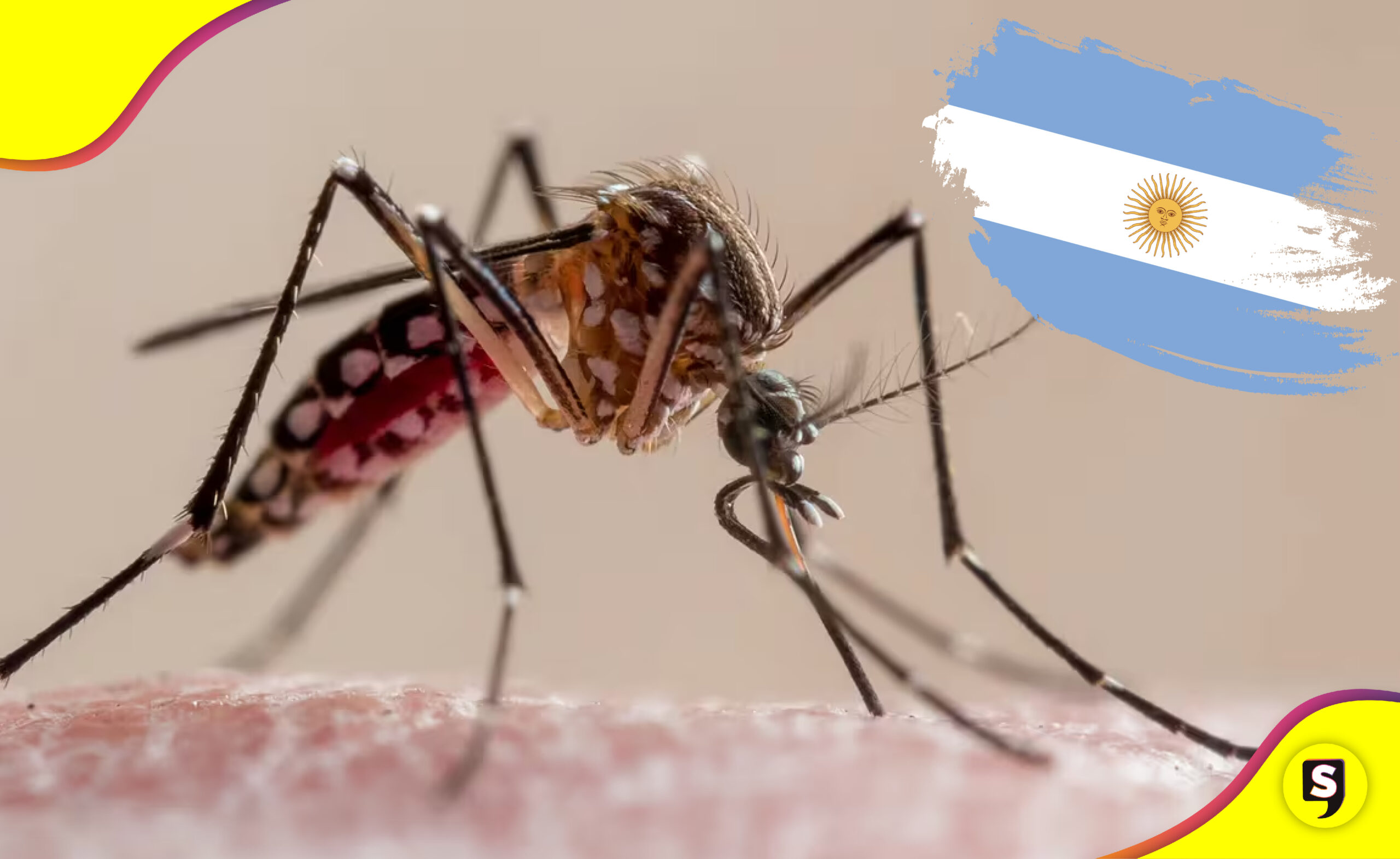 Argentina crisis de dengue